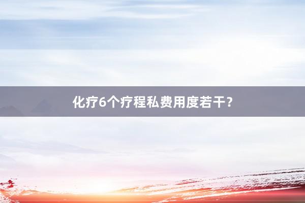 化疗6个疗程私费用度若干？
